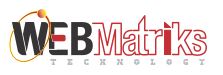 WebMatriks SEO Agency Faridabad