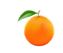 Orange Digital Media SEO Agency Orange Digital Media