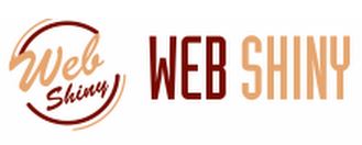 WebShiny Technologies SEO Services