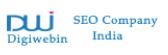 Digiwebin Pvt Ltd Best SEO Services Agency Faridabad